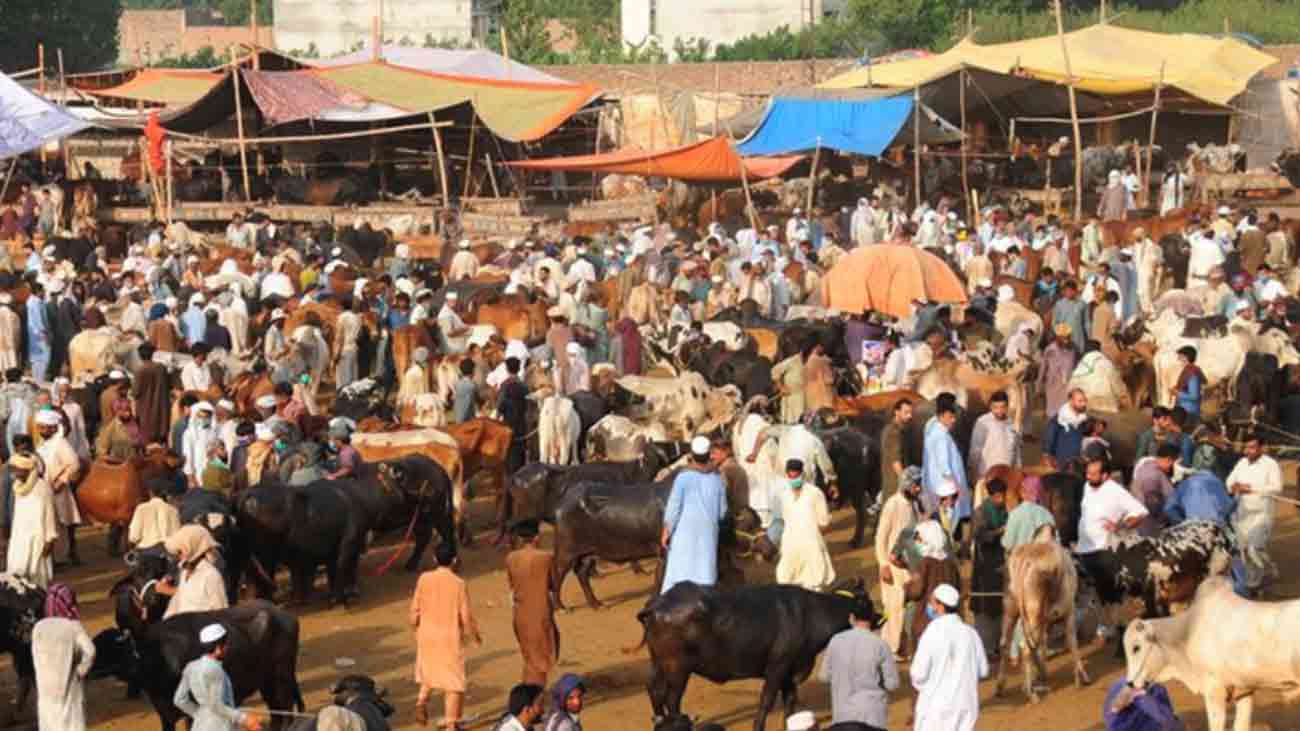 پاکستان میں عیدالاضحیٰ کی تاریخ سامنے آگئی ماہرین نے پاکستان میں رواں سال عید الاضحیٰ کی ممکنہ تاریخ کی پیشگوئی کر دی