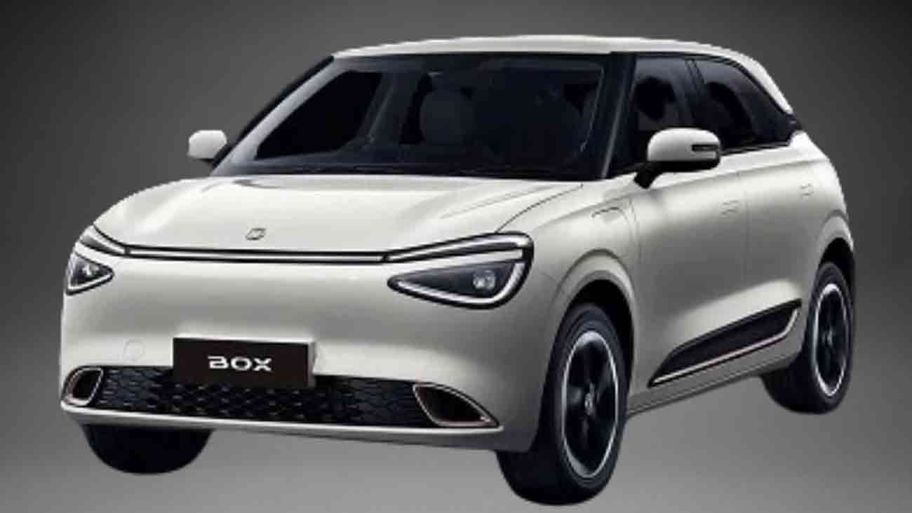 مشہور الیکٹرک گاڑی ’’ گوگو‘ کی قیمت کمپنی نے بتا دی Electric Vehicle Gogo Box EV