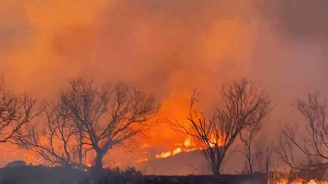 Bani Gala fire