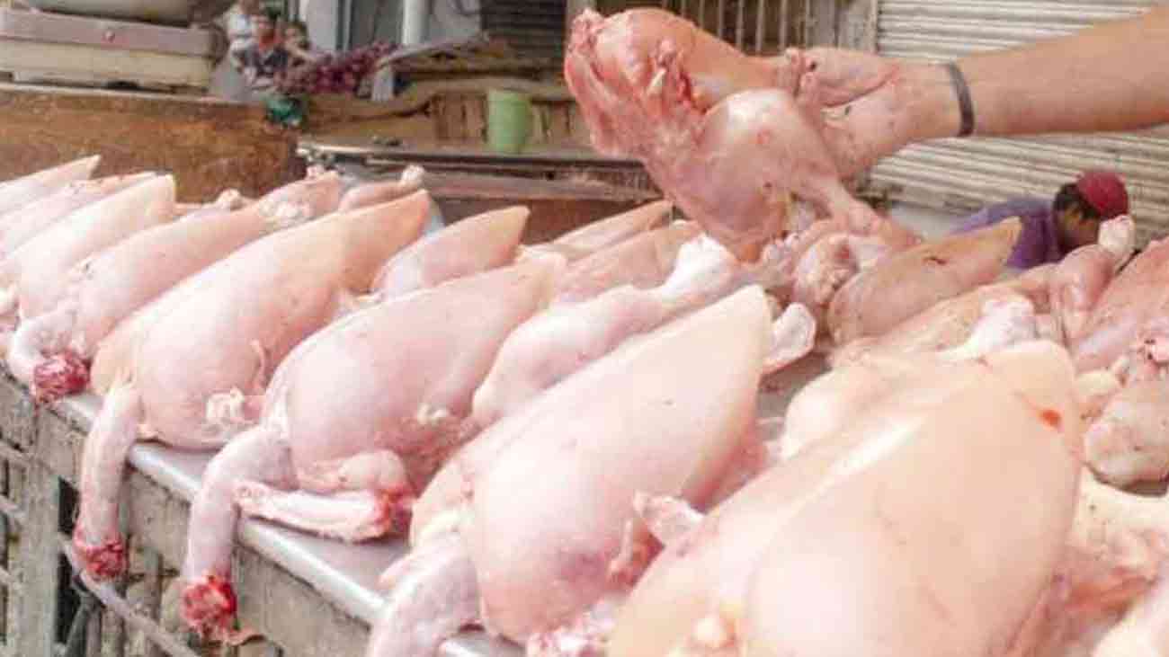 Chicken Meat Price Drop
