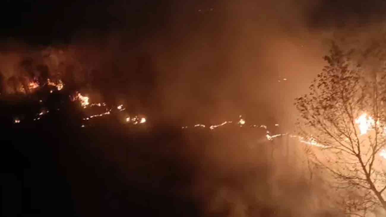 Jhelum River  Forest Fire