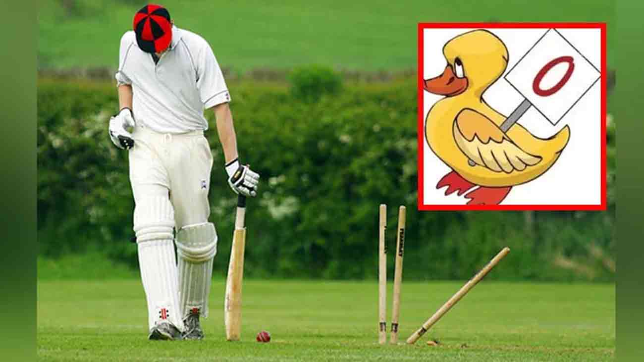 Cricket 