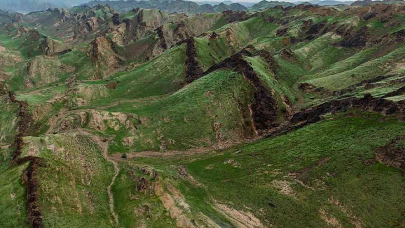 Mountains Of Makkah Turns Green.