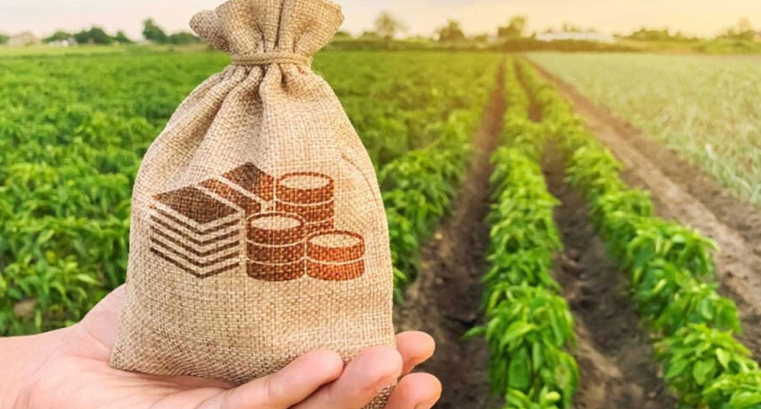 پنجاب کاایگریکلچرانٹرنشپ پروگرام کی تاریخ میں توسیع Punjab agricultural internship