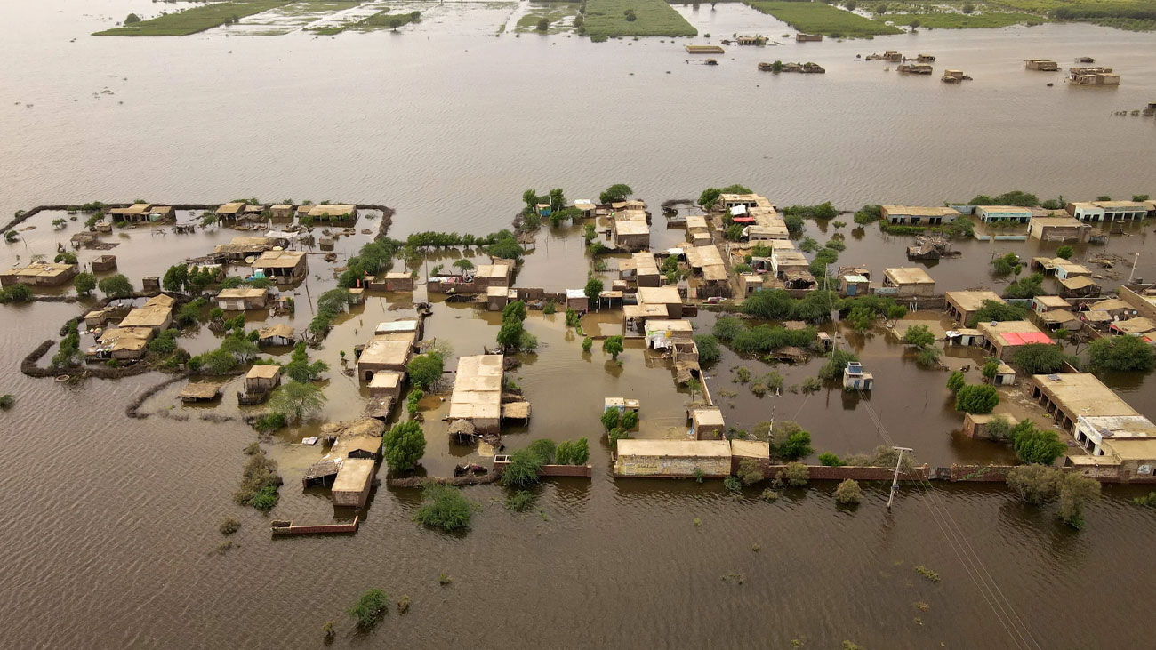 پنجاب میں بدترین سیلاب سے کتنی اموات ہوئیں؟ Flood Death Toll Pakistan