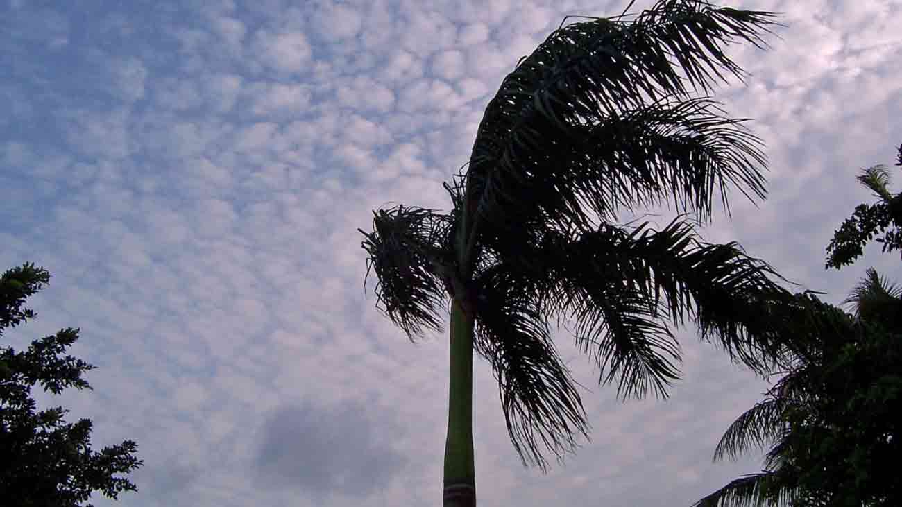 آج ملک بھر میں موسم کیسا رہے گا؟