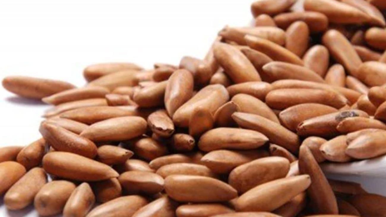 Gujranwala Pine Nut Theft