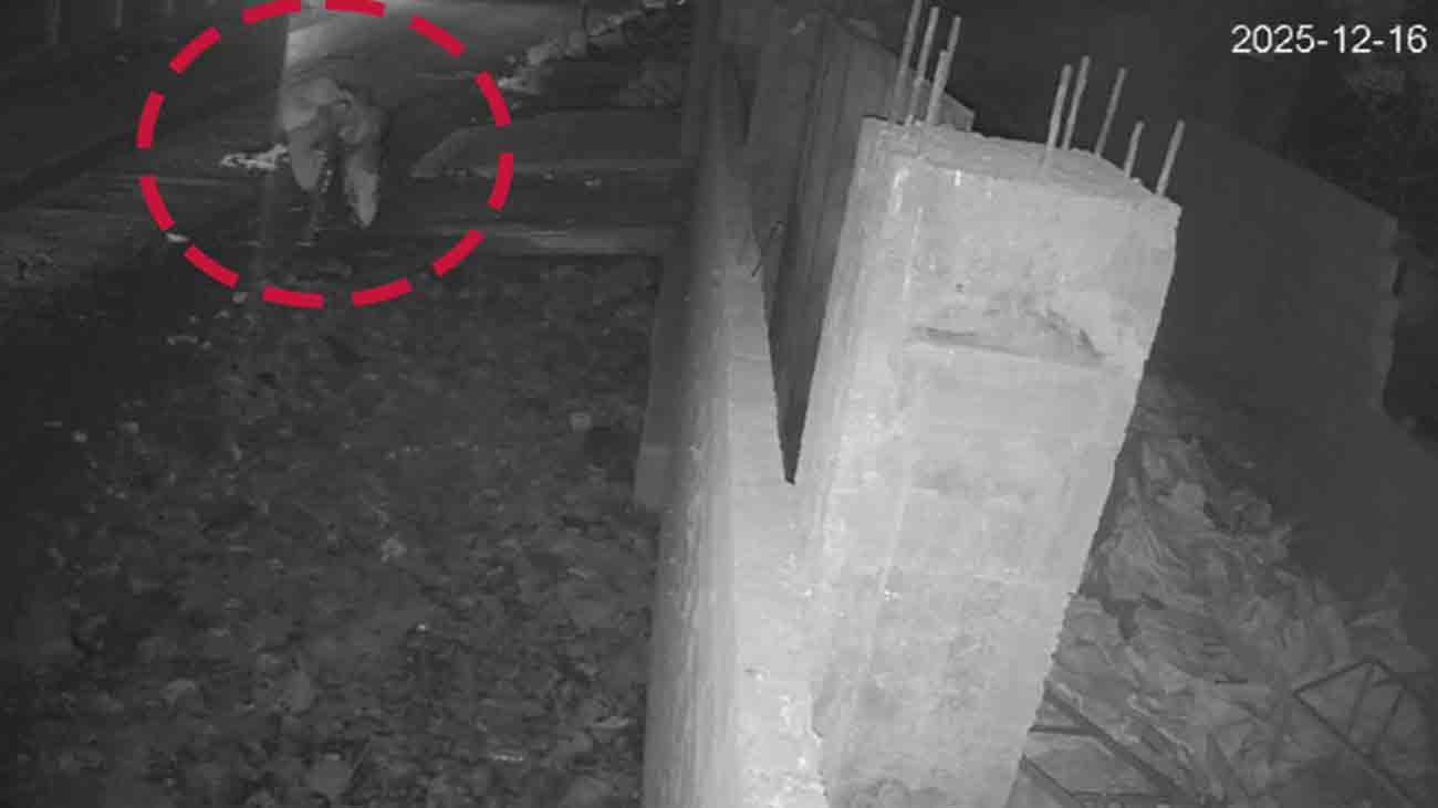 Karachi open drain death