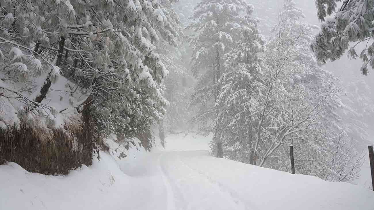 مری میں شدید بارش اور دھند، سیاحوں کیلئے الرٹ جاری Murree weather alert