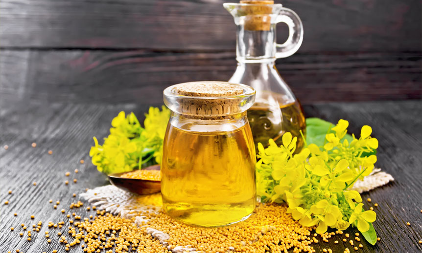  سیڈ آئلز صحت کےلئے کتنا فائدہ مند؟ تحقیق میں اہم انکشافات