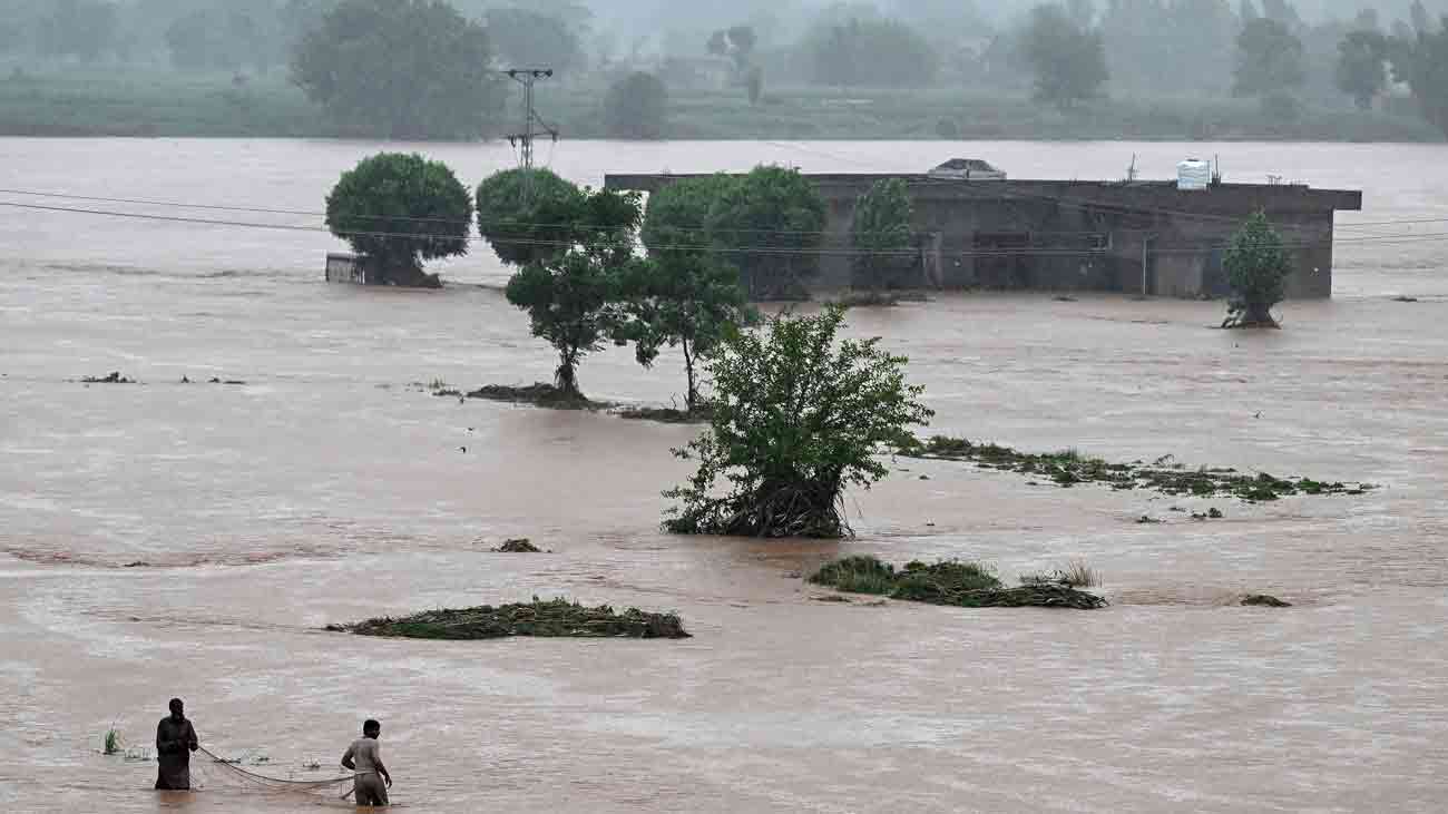 Punjab rain deaths