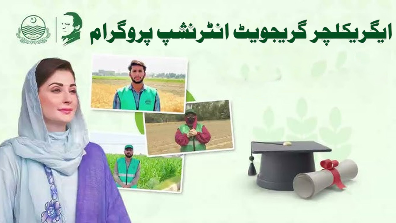 پنجاب میں سی ایم انٹرن شپ پروگرام کے دوسرے مرحلے کا آغاز کردیا گیا۔