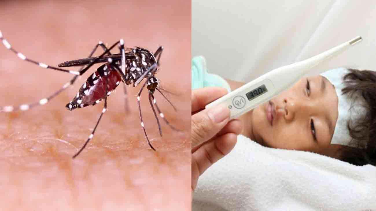 ملتان :ڈینگی کے کیسز میں اضافہ