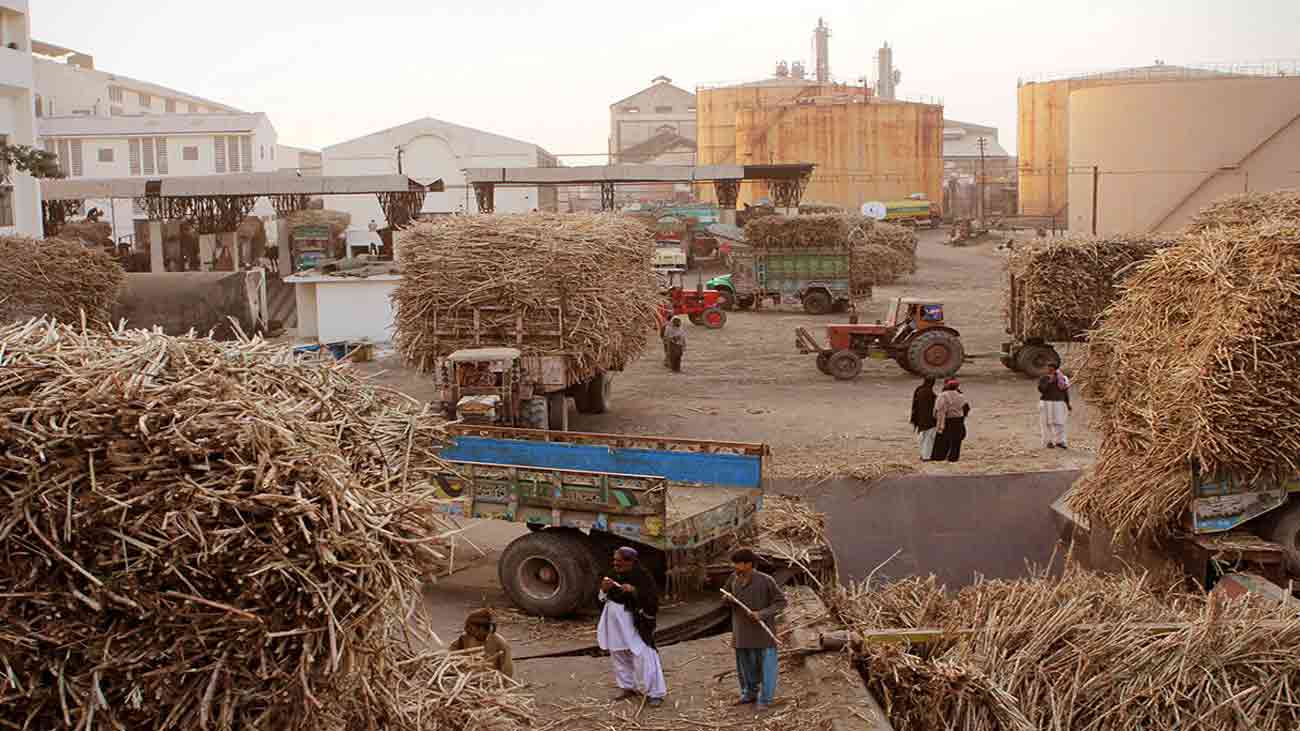 sugar mills