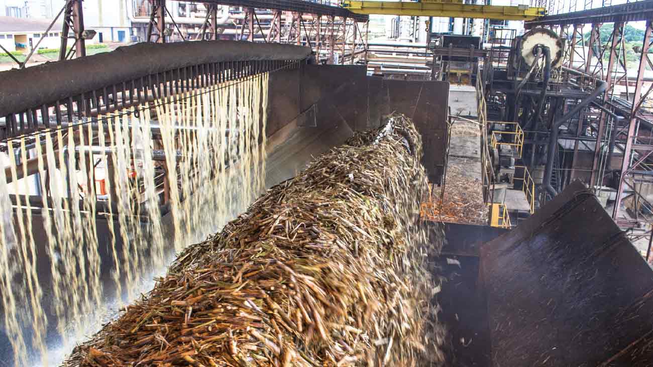 پنجاب حکومت واضح احکامات کے بعد صوبے کی تمام 41 شوگر ملز نے بالآخر کرشنگ کا باقاعدہ آغاز کر دیا ۔