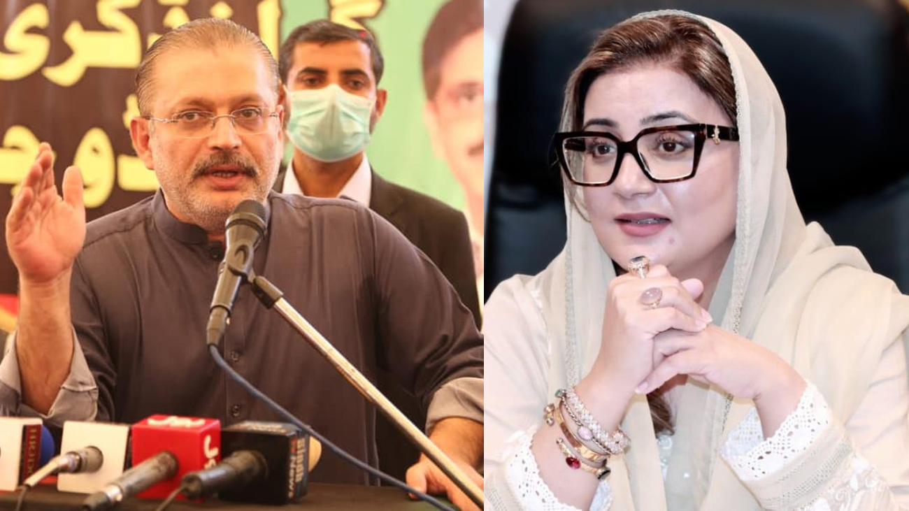 حکومتی اتحادی جماعتوں مسلم لیگ ن اور پاکستان پیپلزپارٹی میں لفظی جنگ شدت اختیار کر گئی، پنجاب اور سند ھ حکومت کے وزرا نے ایک دوسرے پر تنقیدی نشتر چلا دیے۔