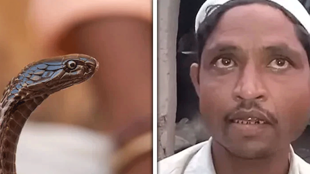 بیوی رات کو سانپ بن جاتی ہے: شوہر کا حیران کن دعویٰ snake wife claim