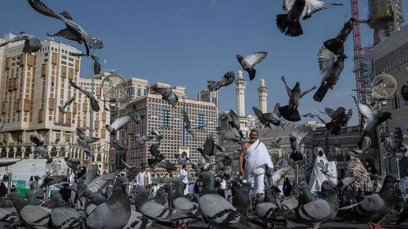 مسجد الحرام کے اطراف کبوتروں کو دانا کھلانے پر پابندی،وجہ سامنے آگئی Saudi pigeon feeding ban