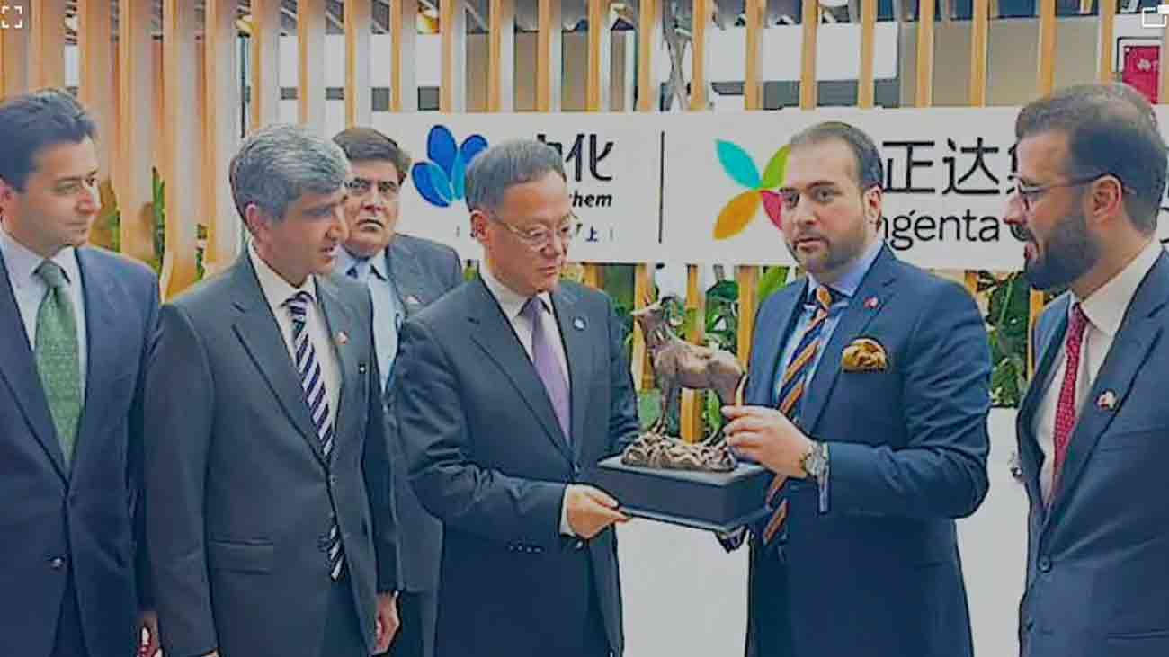 وزیر