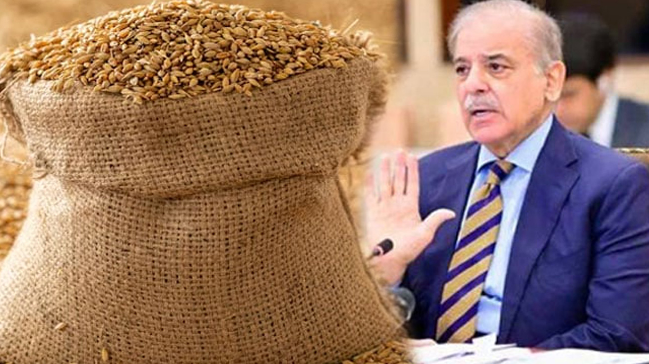 حکومت نے گندم پالیسی 26-2025 کی منظوری دے دی وفاقی حکومت نے گندم پالیسی 26-2025 کی منظوری دے دی