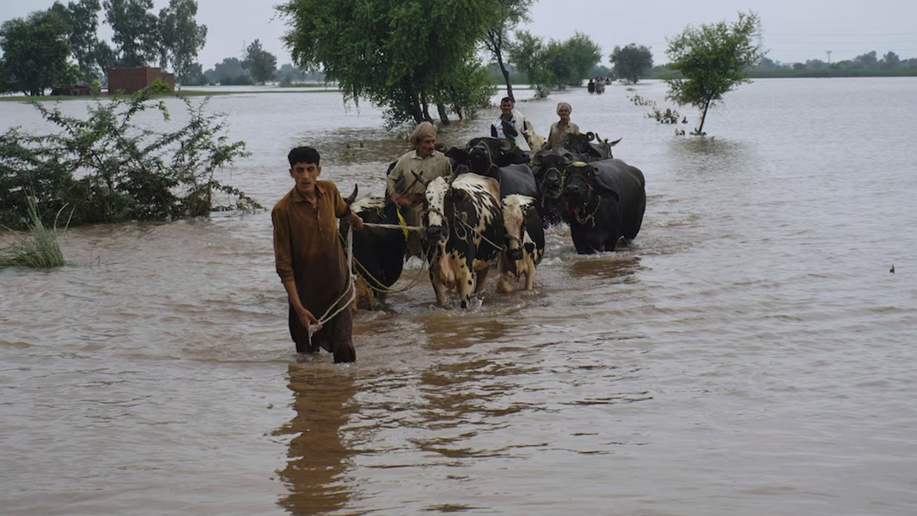 پنجاب کے سیلاب متاثرہ اضلاع کی مشکلات میں اضافے کا خدشہ پنجاب کے سیلاب سے متاثر ہونے والے اضلاع کی مشکلات میں مزید اضافے کا خدشہ پیدا ہو گیا۔