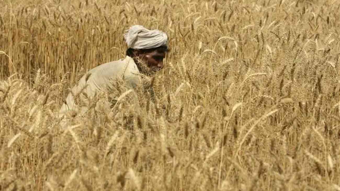 صوبائی وزیر زراعت سندھ نے لاکھوں نئے رجسٹرڈ ہاریوں کو بینظیر ہاری کارڈ جاری کرنے کا فیصلہ کرلیا