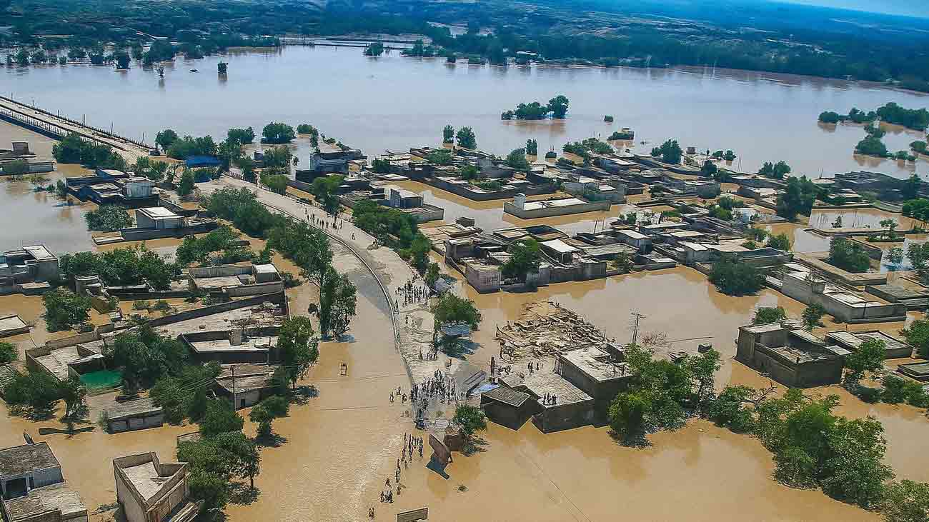 پنجاب کے دریا معمول پر آنے لگے، سیلاب سے کتنا نقصان ہوا؟ Punjab floods update