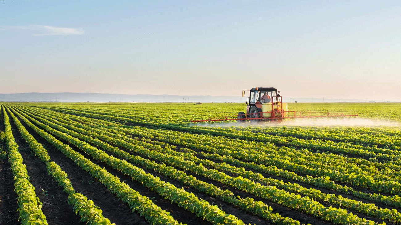 سندھ حکومت کا زرعی ہنگامی منصوبہ اعلان کرنے کا فیصلہ agricultural emergency plan
