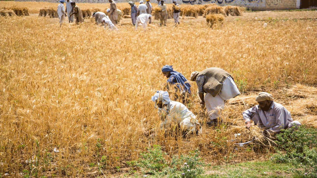 farm loan relief,