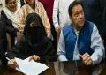 عمران خان سے انکے وکیل سلمان صفدر کی ملاقات کرانے کا حکم