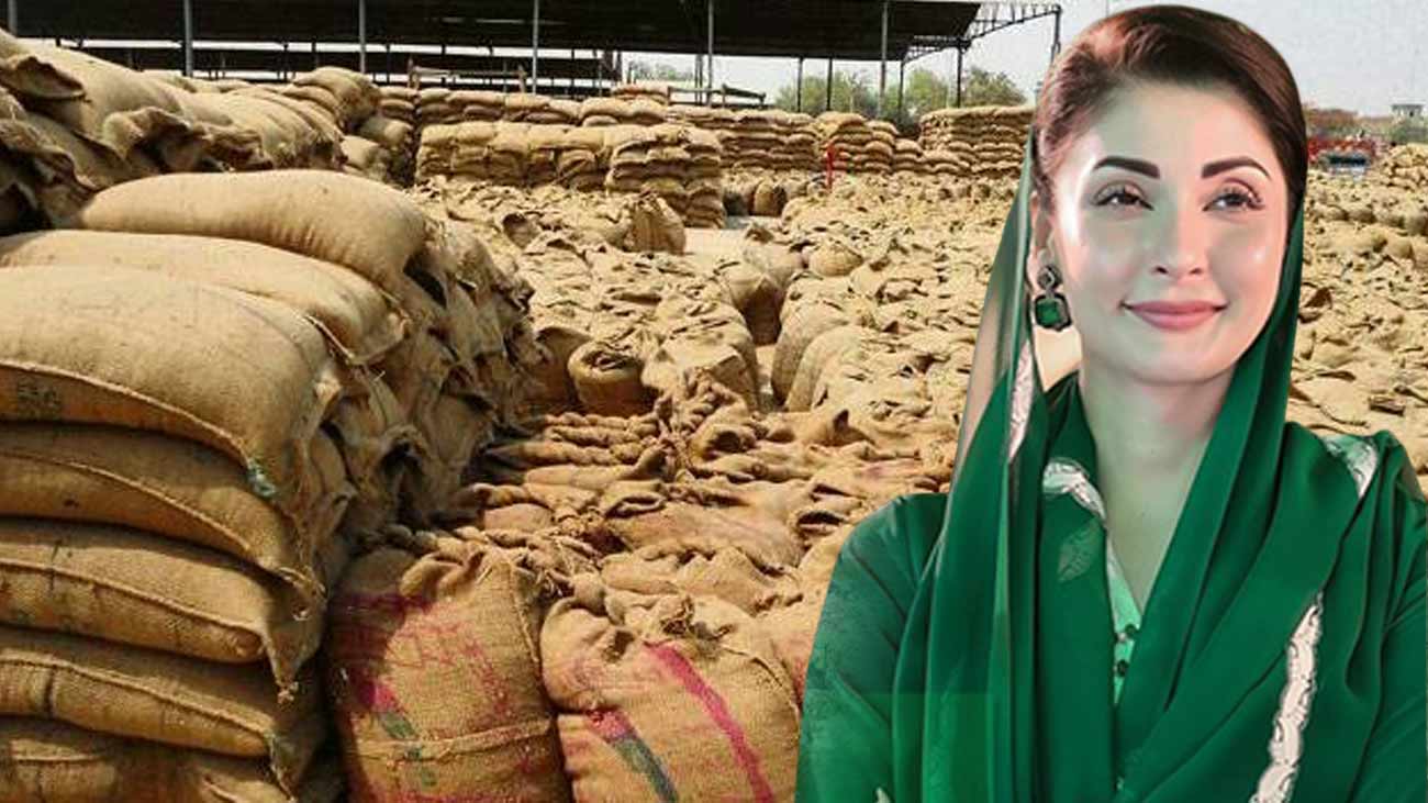 وزیراعلیٰ پنجاب مریم نواز نے 3500 روپے فی من گندم خریداری فوری شروع کرنے اور کاشتکاروں کو 6 ارب روپے کا باردانہ مفت دینے کا اعلان کر دیا۔