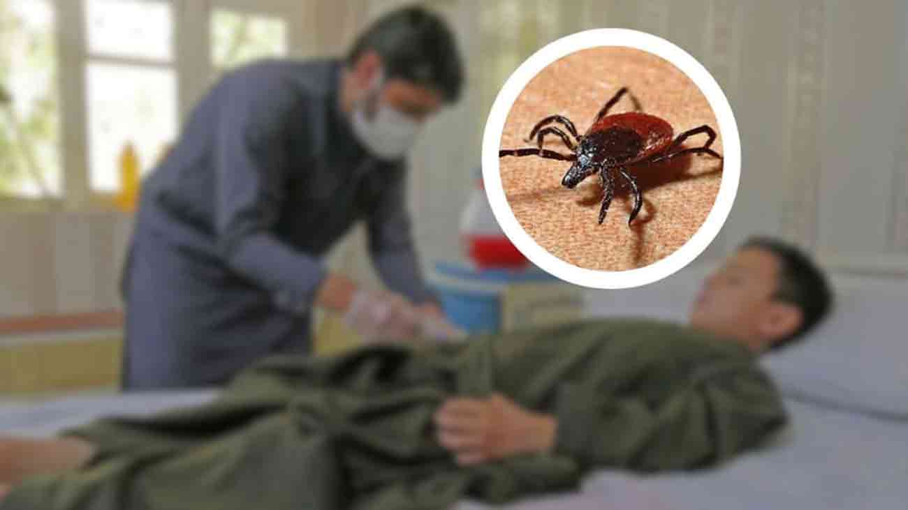 Congo virus Pakistan