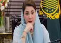 وزیراعلیٰ مریم نواز کی ڈرنکنگ واٹر بوتل پر چارجز لگانے کی تجویز مسترد