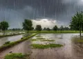 مون سون کا پانچواں اسپیل کل سے شروع ہونے کا امکان