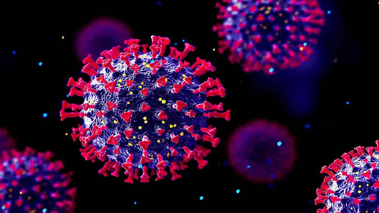 نپاہ کے بعد دو نئے وائرسز کا خطرہ نمایاں