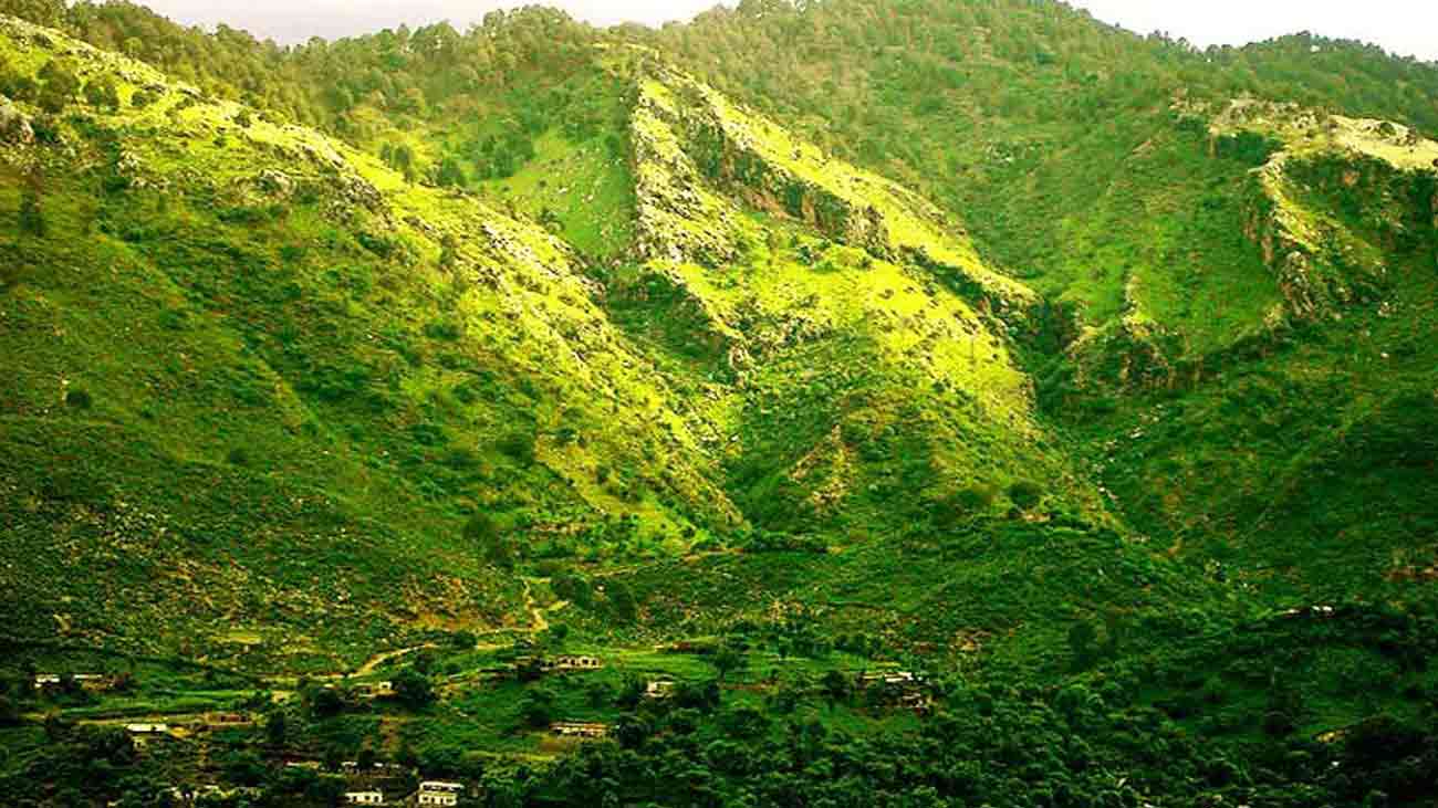 پاکستان کو سرسبز بنانے کیلئے مارگلہ جنگل کی بحالی پنجاب حکومت کا بڑا منصوبہ