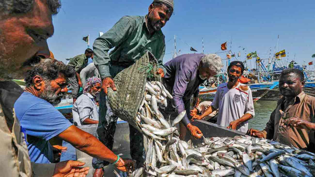 دریائے راوی