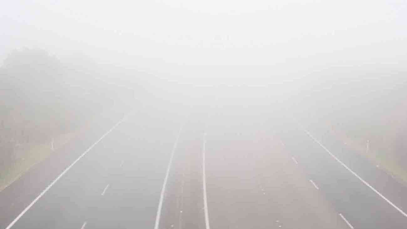 dense fog Punjab