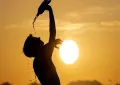 فیل لائیک درجہ حرارت کیا ہوتا ہے؟ جانیے