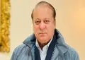 نواز شریف کو پنجاب میں بڑا عہدہ مل گیا