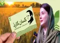 کسان کارڈ پر اربوں روپے کے زرعی قرض جاری