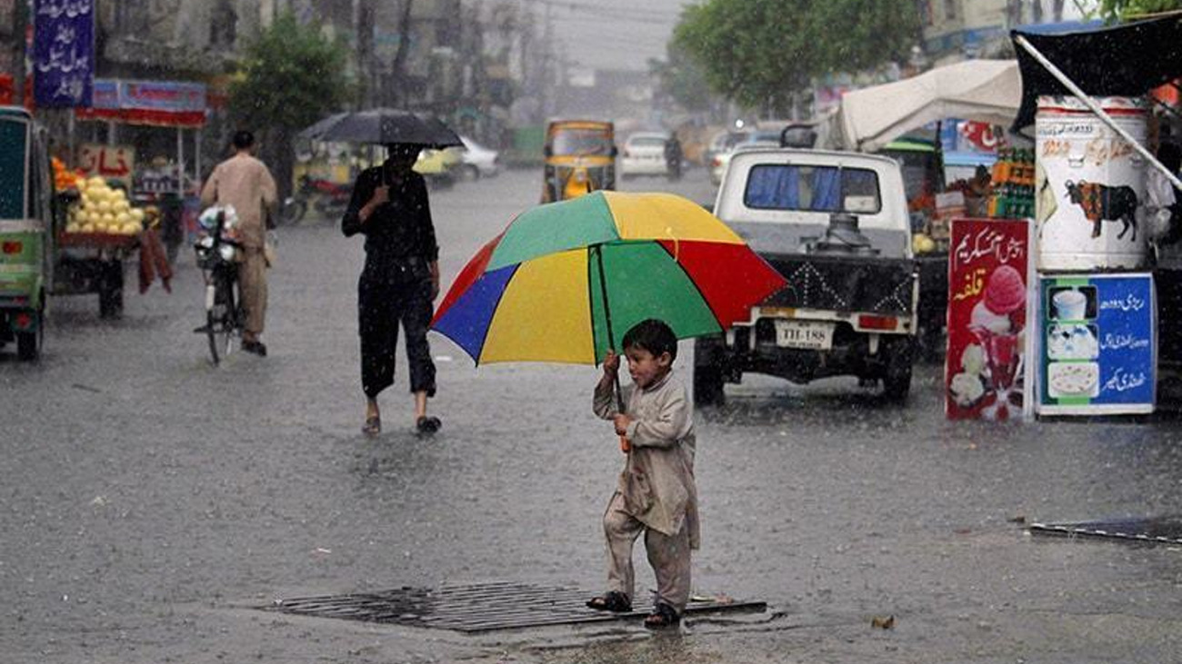 پی ڈی ایم اے پنجاب