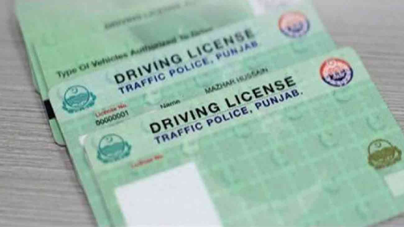 Virtual driving license Punjab