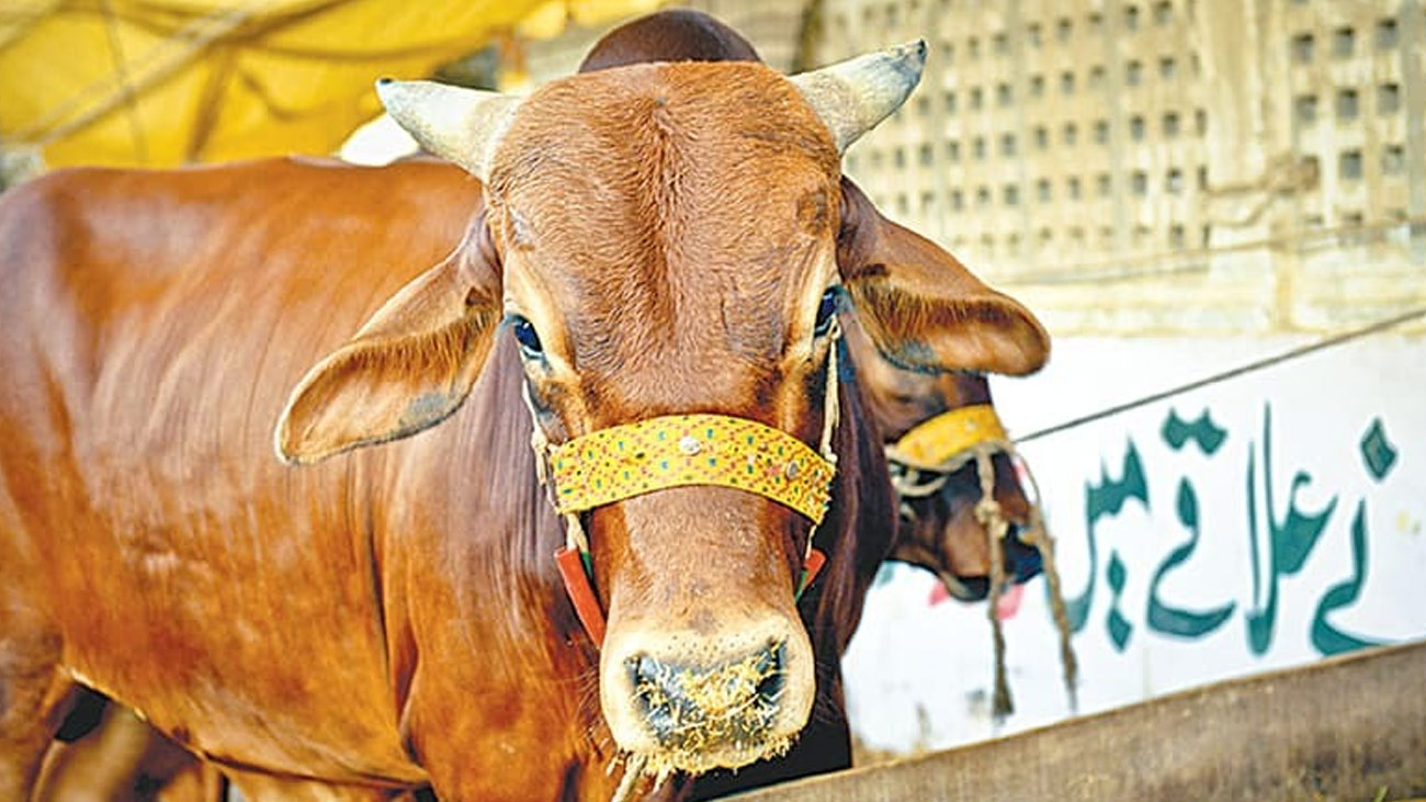 Eid ul Adha 2026 date Pakistan