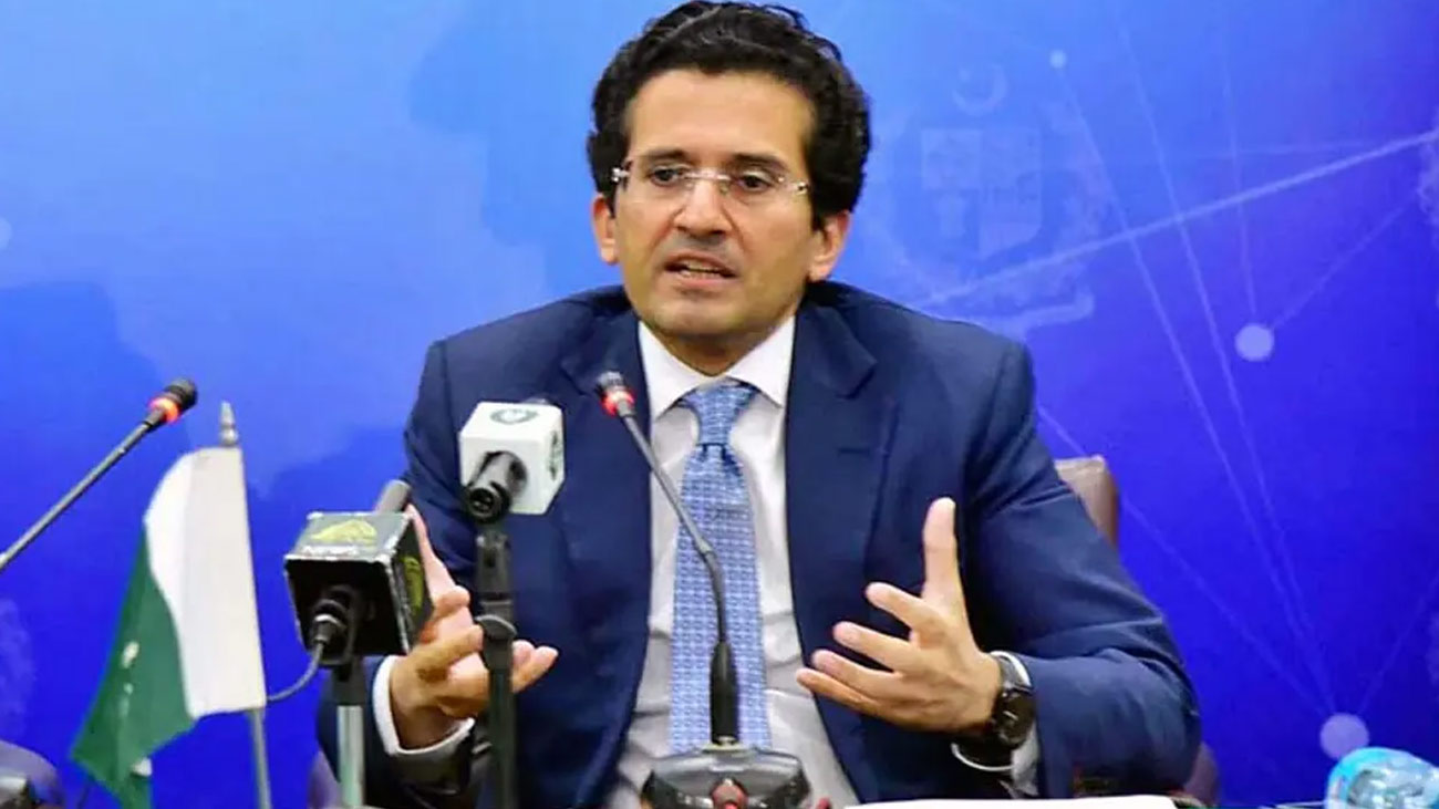 وزیر پیٹرولیم علی پرویز ملک