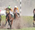 Horse-Race-Derby